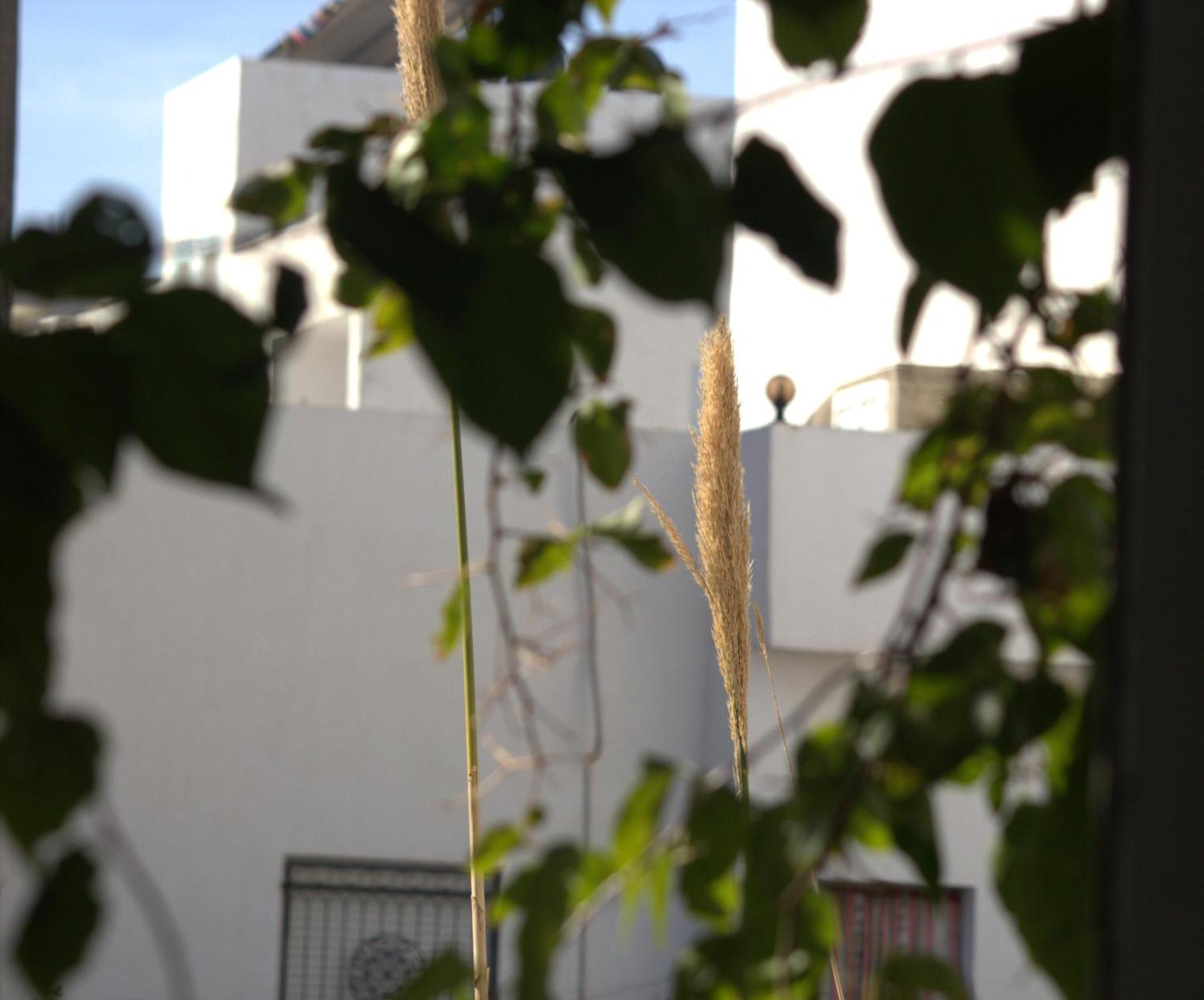 Residence Sterne Hammam al Ghazzaz 外观 照片